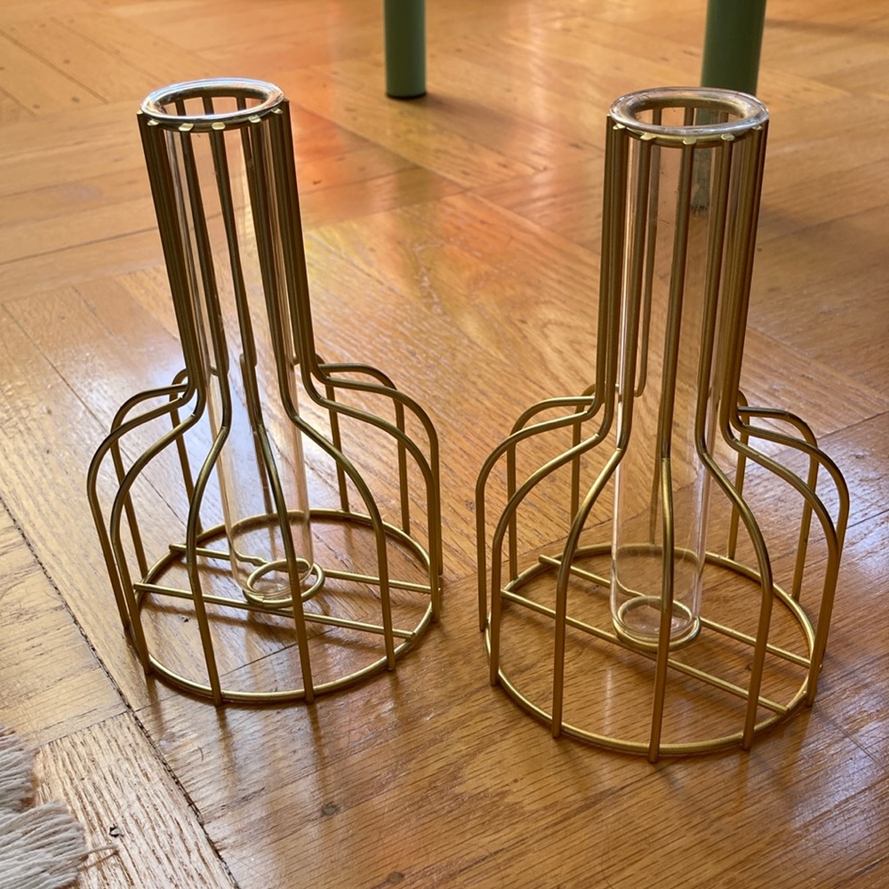 Gold Wire Frame Propagation / Bud Vases Set of 2